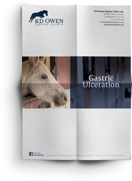 Equine Gastric Ulceration